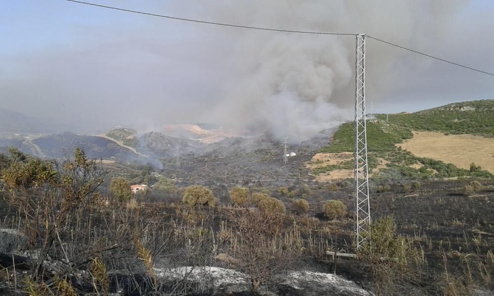 Declarado un incendio forestal en Casares