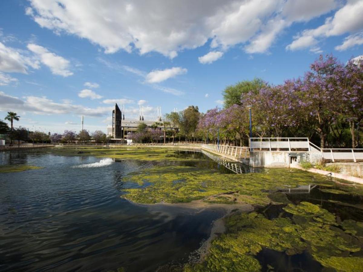 El Jardín Americano de Sevilla, ubicado en la isla de La Cartuja