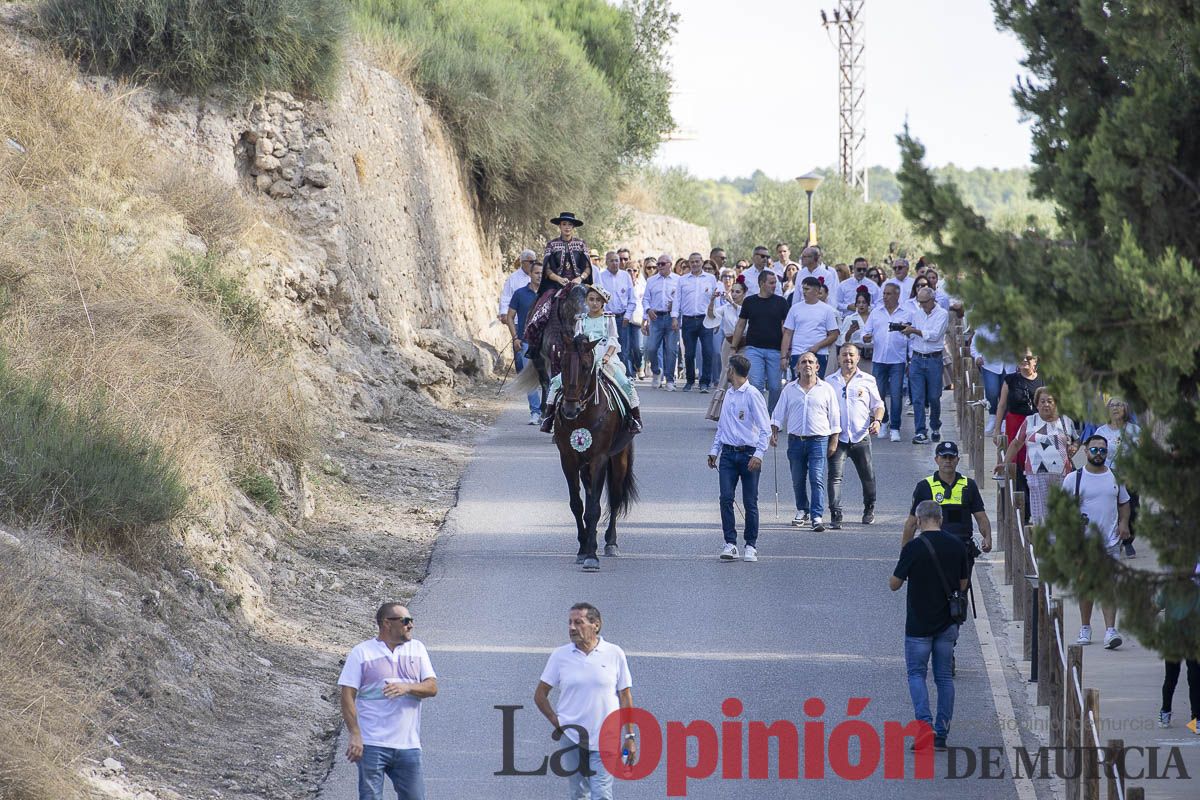 Romería de los Caballos del Vino de Caravaca, en imágenes