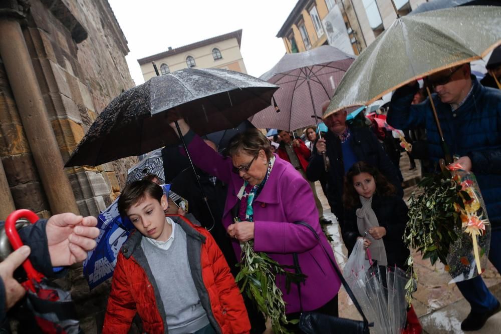 Domingo de Ramos en los Padres Franciscanos