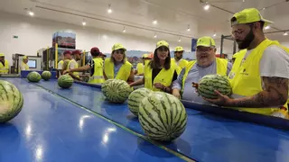 La producción de melón y sandía crece en la Región