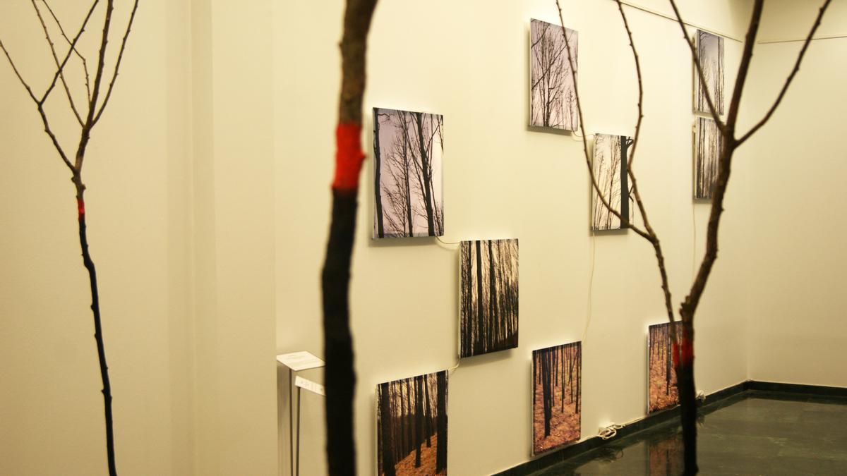 Una serie de muestras de la colección 'Límite de fuego', en la sala de la Fundación Caja Rural de Aragón en Calatayud.