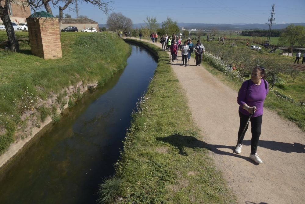 Totes les fotos de la Transèquia 2020