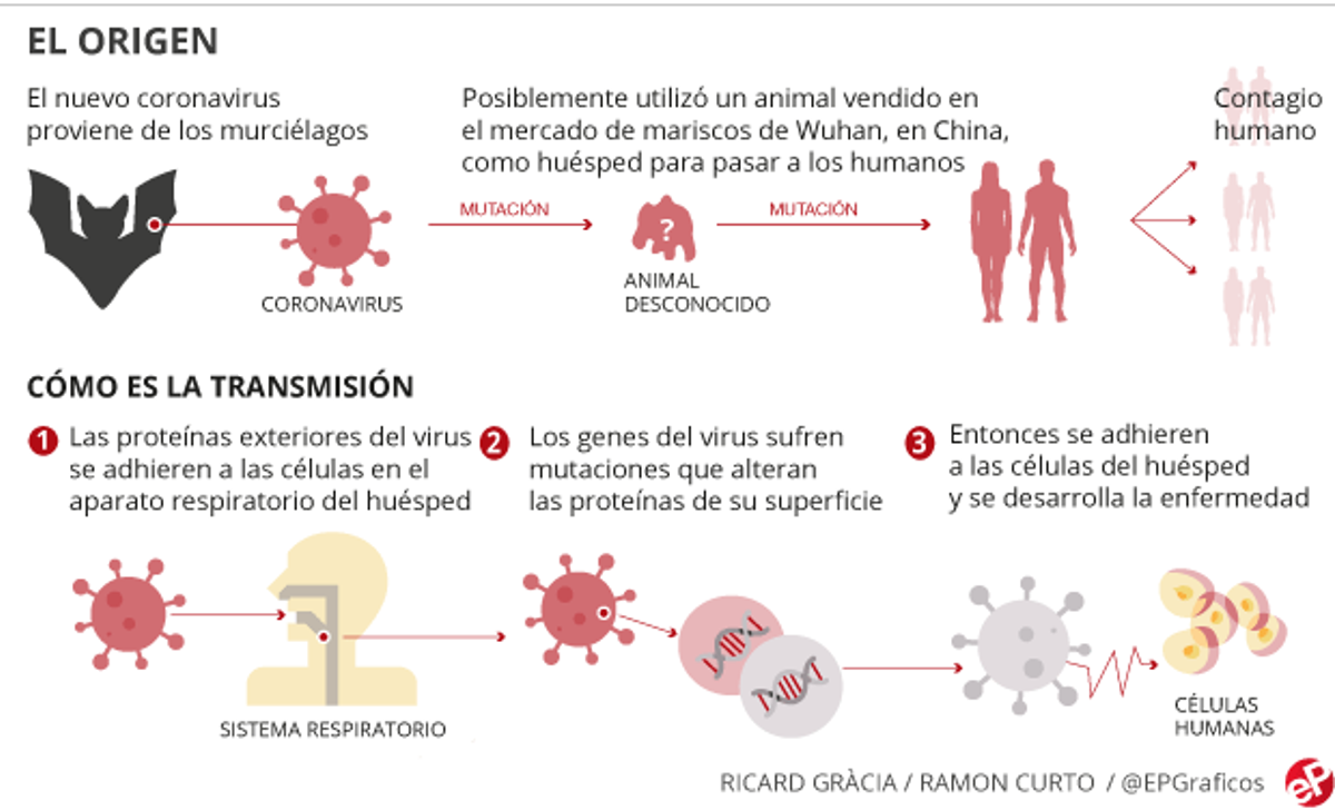 Guía básica para actuar ante el coronavirus