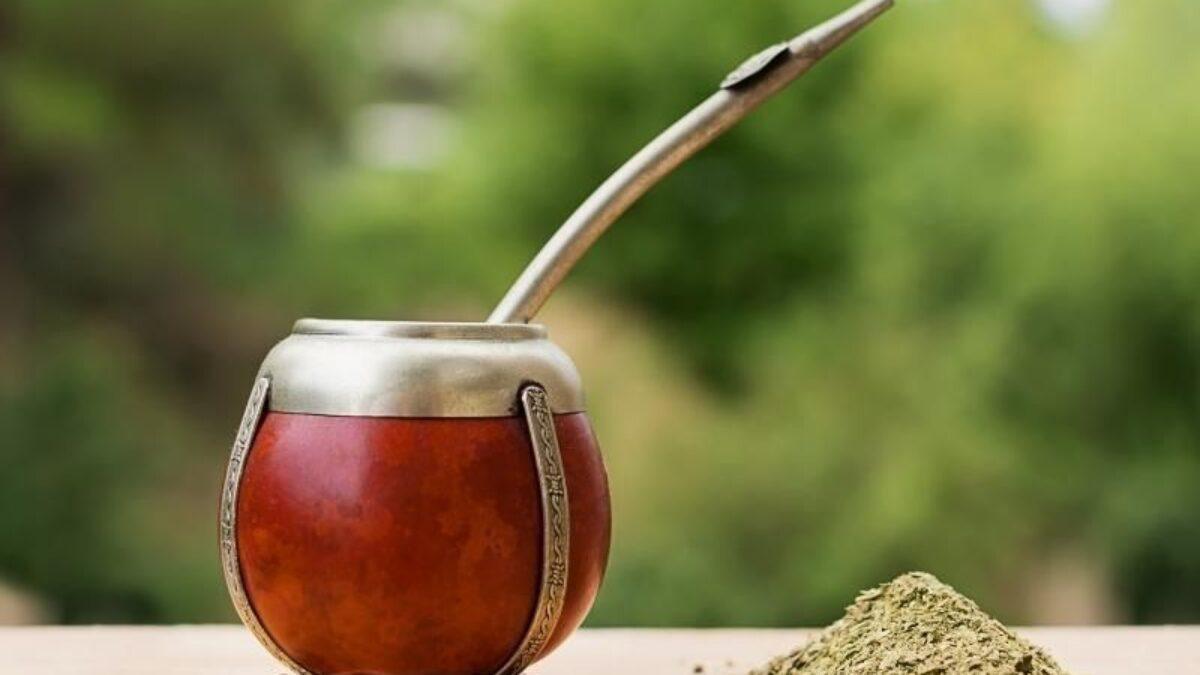 Yerba mate