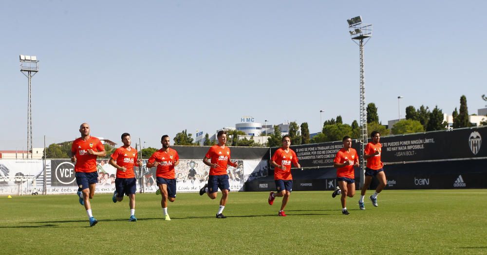 Primera toma de contacto con el césped