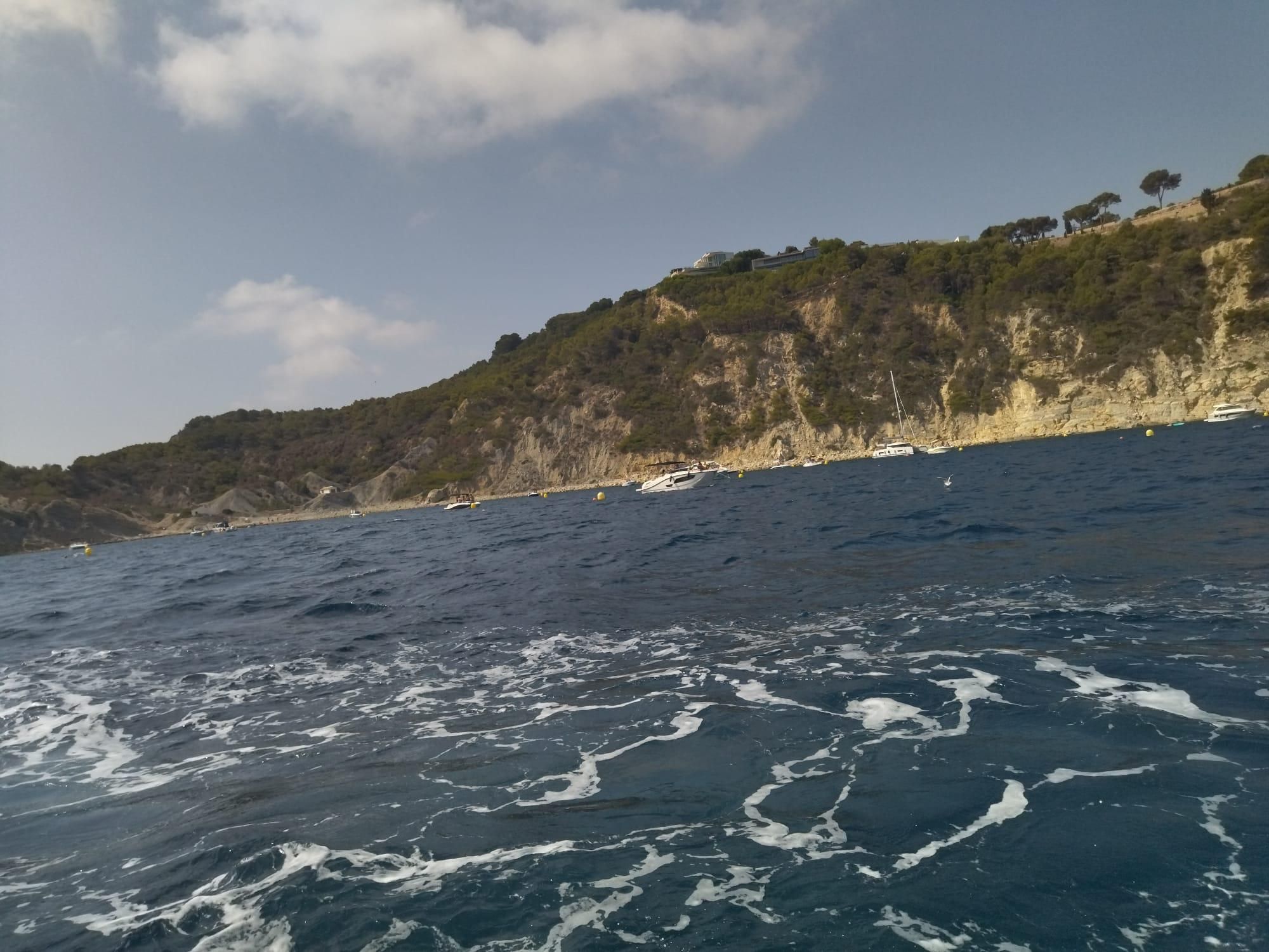 Embarcados con los guardianes de la Posidonia oceánica (imágenes)