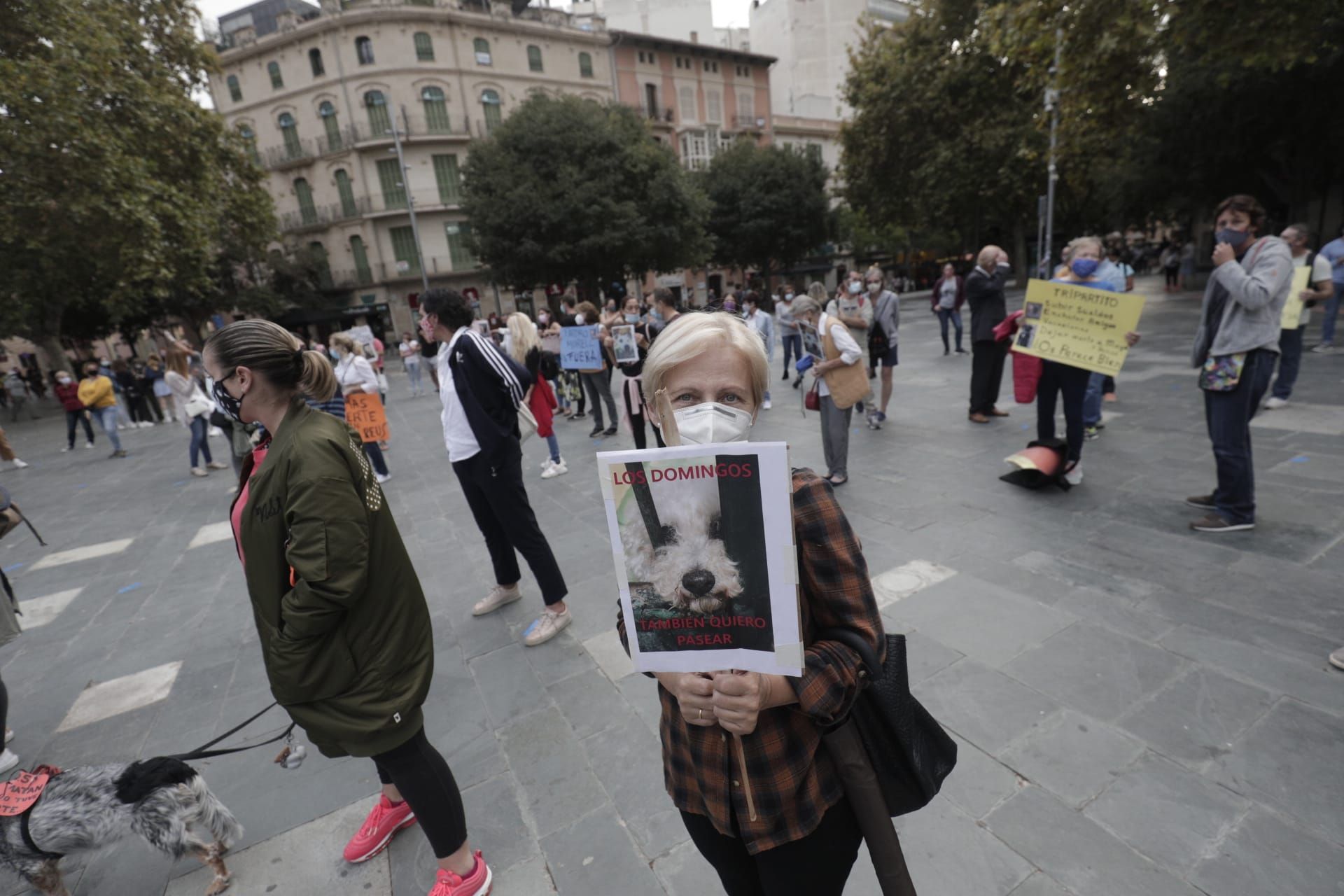 Manifestación en Palma por Venus, la perra pitbull que murió desangrada en Son Reus