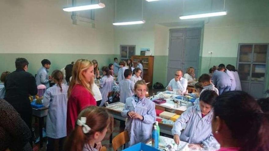 Alumnos comparten con padres y madres la actividad de realización de maquetas de invertebrados.