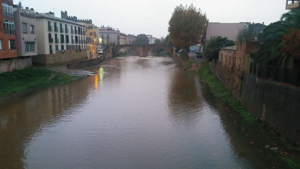 Així de ple passa el riu Daró, avui divendres, per la Bisbal d'Empordà