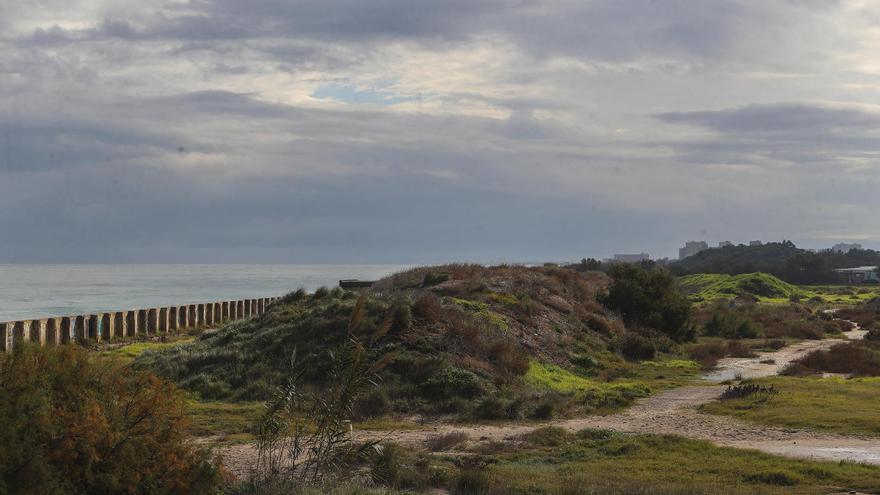 La posidònia i els sistemes dunars són claus per a mitigar els ecosistemes mediterranis