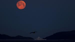 Vista de la luna llena de marzo del año pasado, junto a una embarcación que recorre la ría de Vigo.