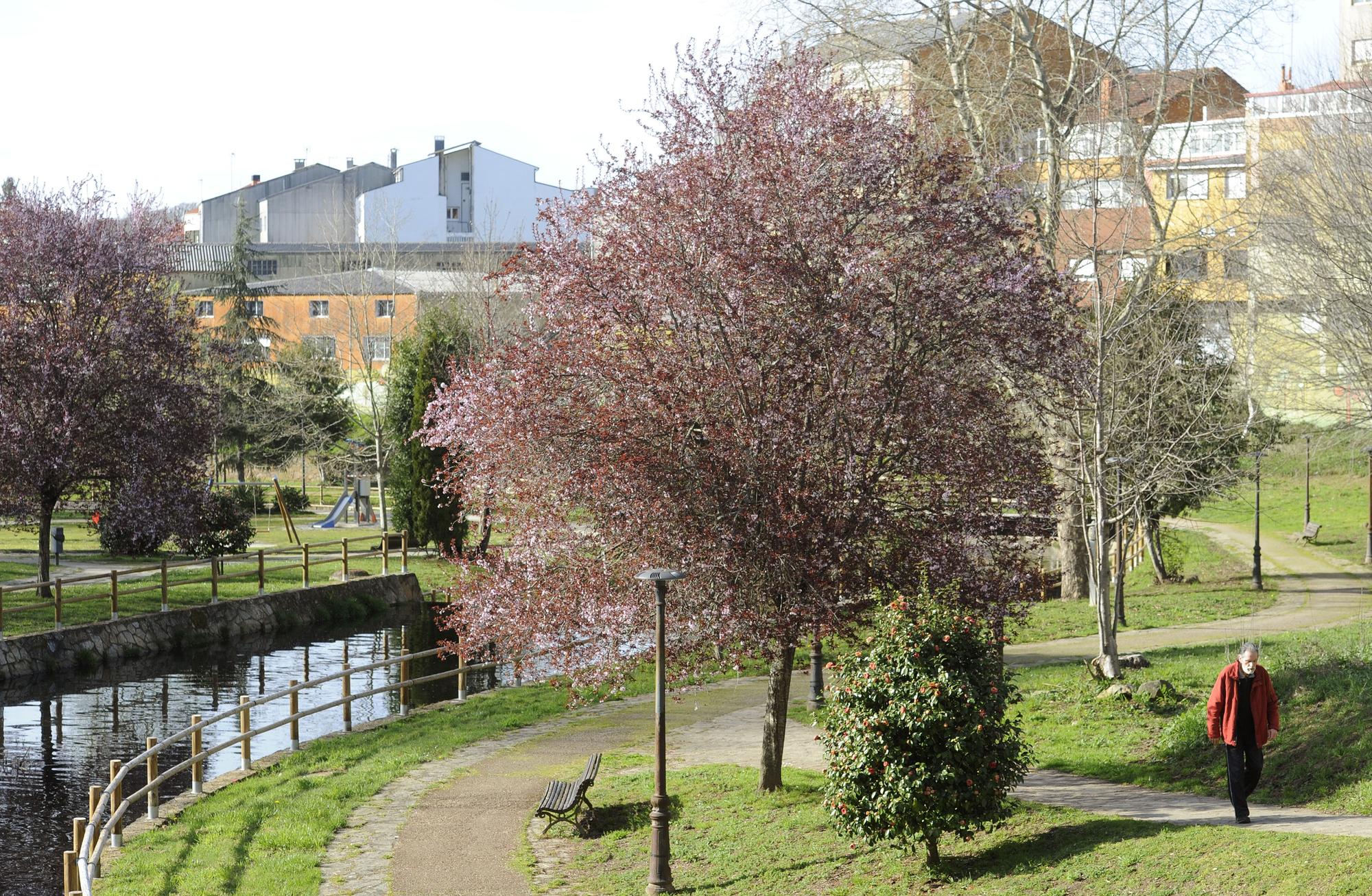 El Paseo do Pontiñas de Lalín con colorido en sus árboles y plantas.