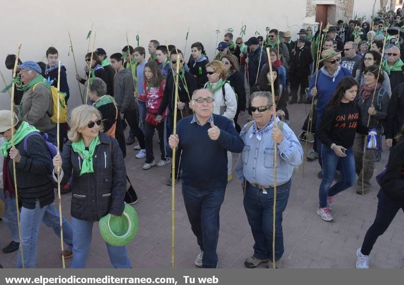 GALERÍA DE FOTOS - Romería Magdalena 2014 (4)