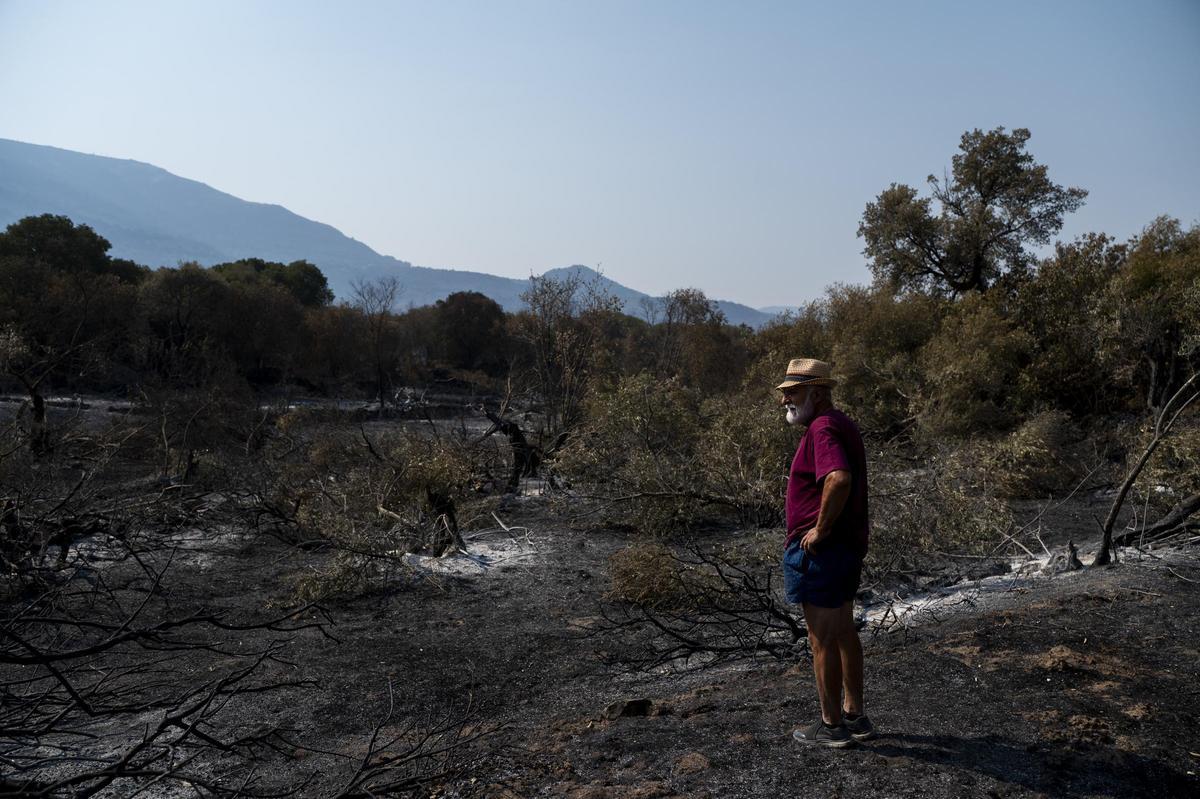 Las imágenes | Diez días de incendio en Jarilla: el adiós al paraíso verde Las imágenes | Diez días de incendio en Jarilla: el adiós al paraíso verde