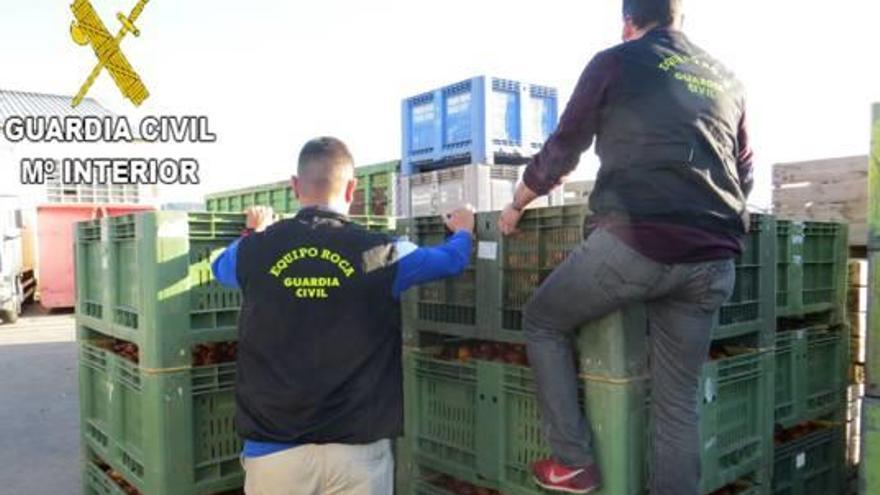 La Guardia Civil confisca los cajones de naranjas robadas.