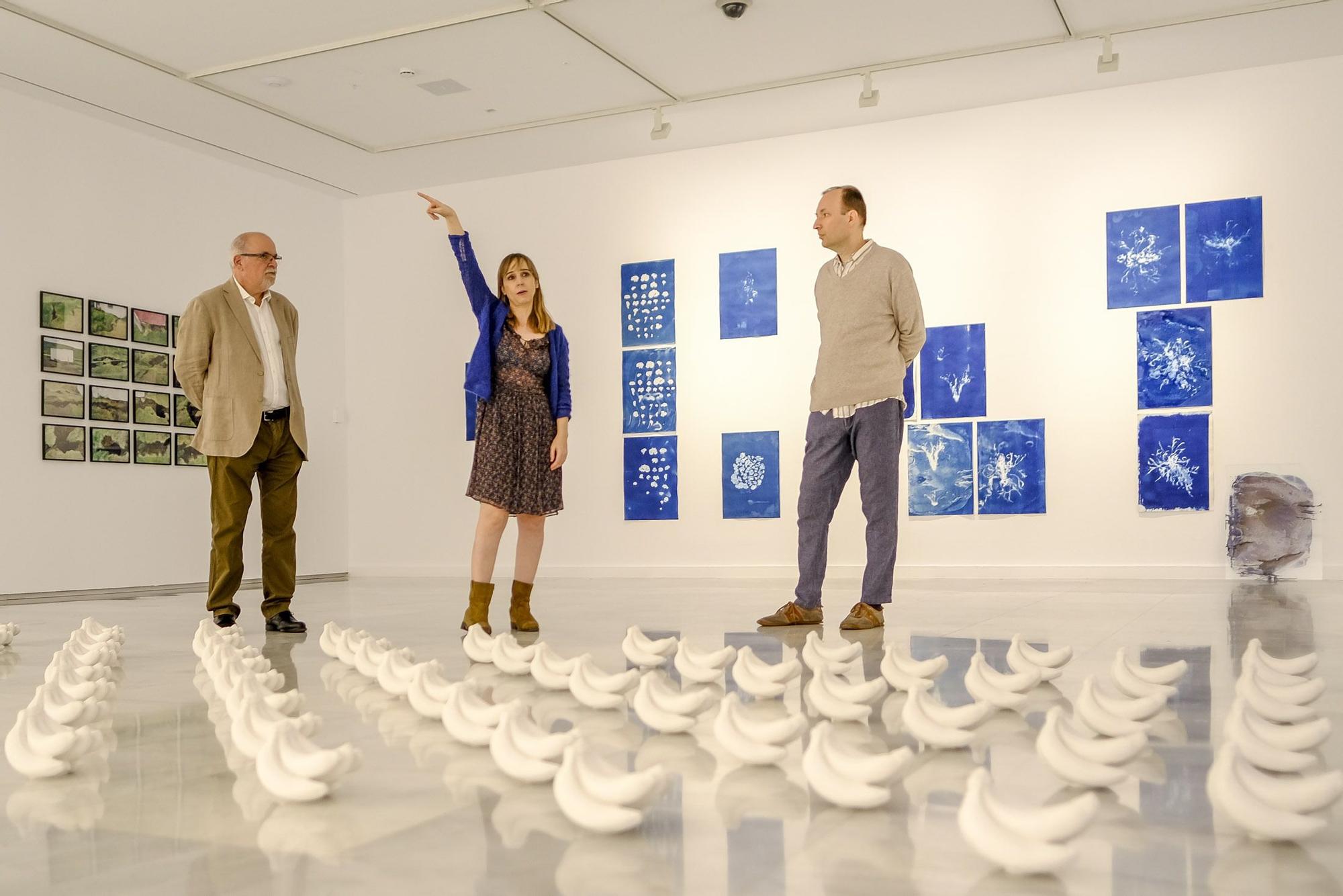 Exposición internacional 'Con los pies en la tierra' en el CAAM