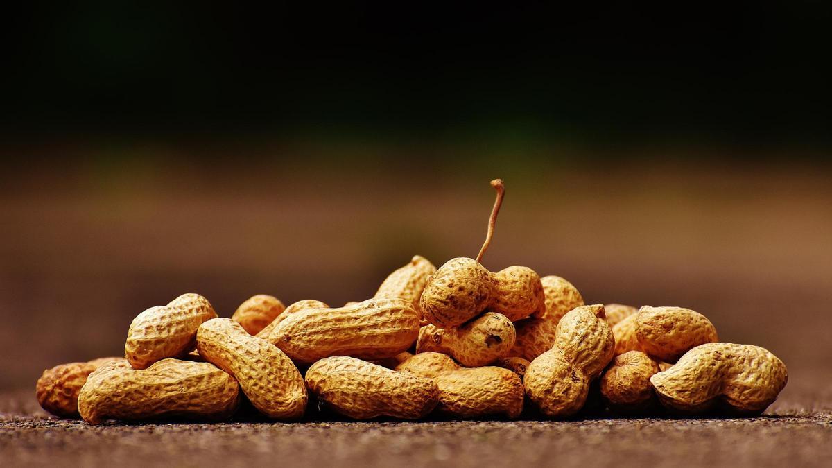 Los cacahuetes tienen un alto contenido en ácidos grasos monoinsaturados.