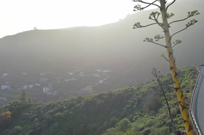 Calima en la cumbre de Gran Canaria