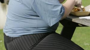 zentauroepp27914580 obesidad190110090937