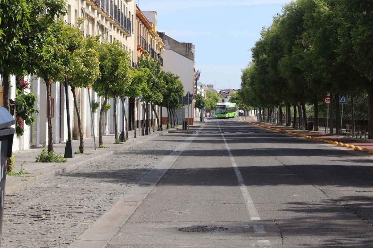 El Domingo de Ramos que no fue