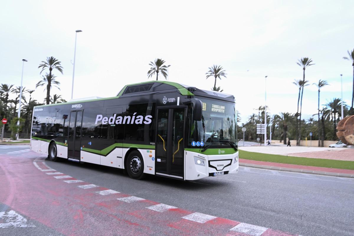 Un autobús en la zona de la UMH, en una imagen de archivo.