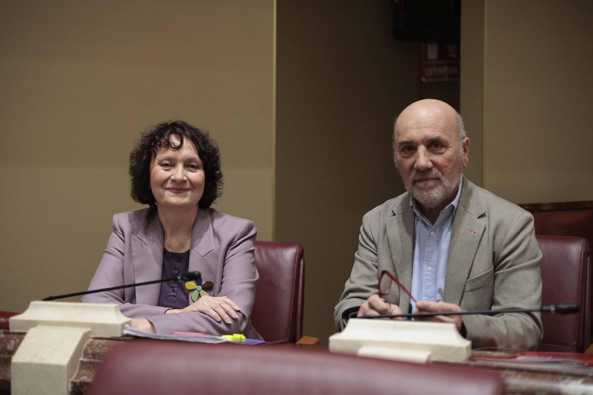 María Marín (Podemos) y José Luis Álvarez-Castellanos (IU-V) son los actuales diputados del Grupo Mixto.