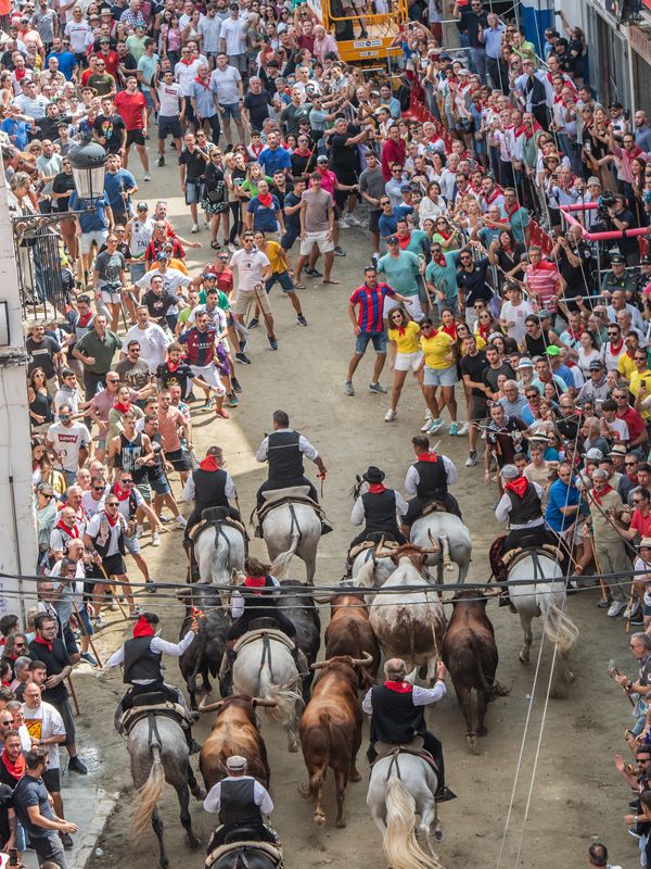 Fotogalería de la segunda Entrada de Toros y Caballos de Segorbe