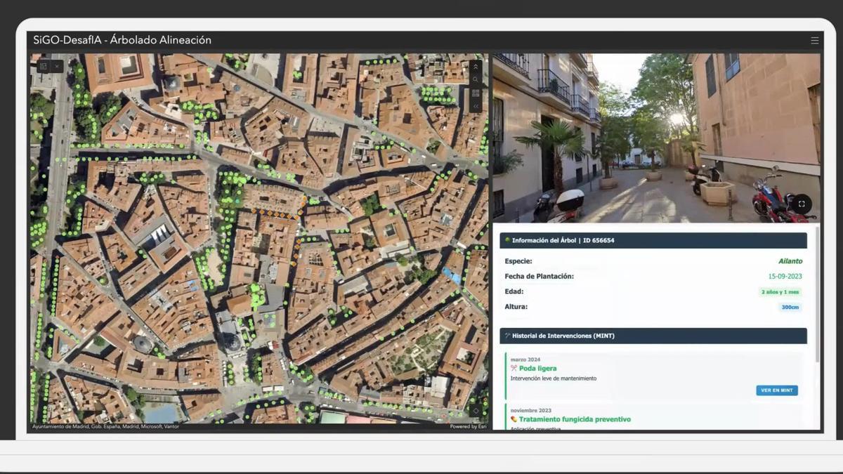 La aplicación desarrollada por SIGO en funcionamiento.