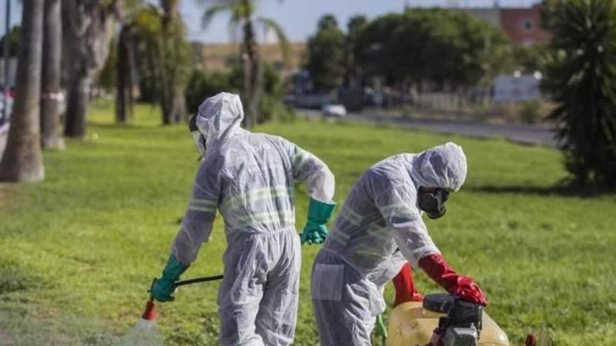 Frenar el Virus del Nilo, en manos de los ayuntamientos en Extremadura