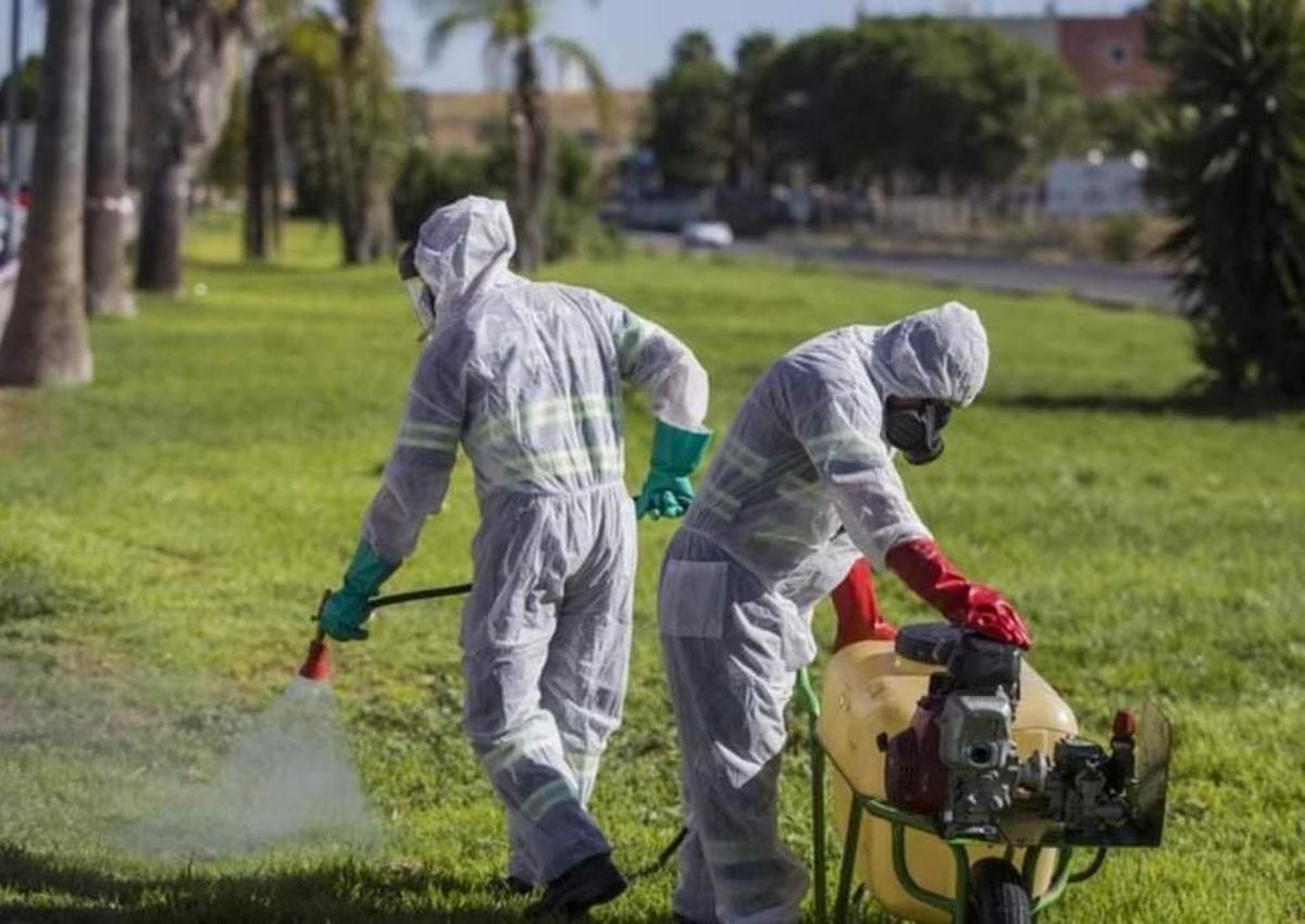 Fumigación de zonas verdes para evitar la proliferación de mosquitos en la comunidad.