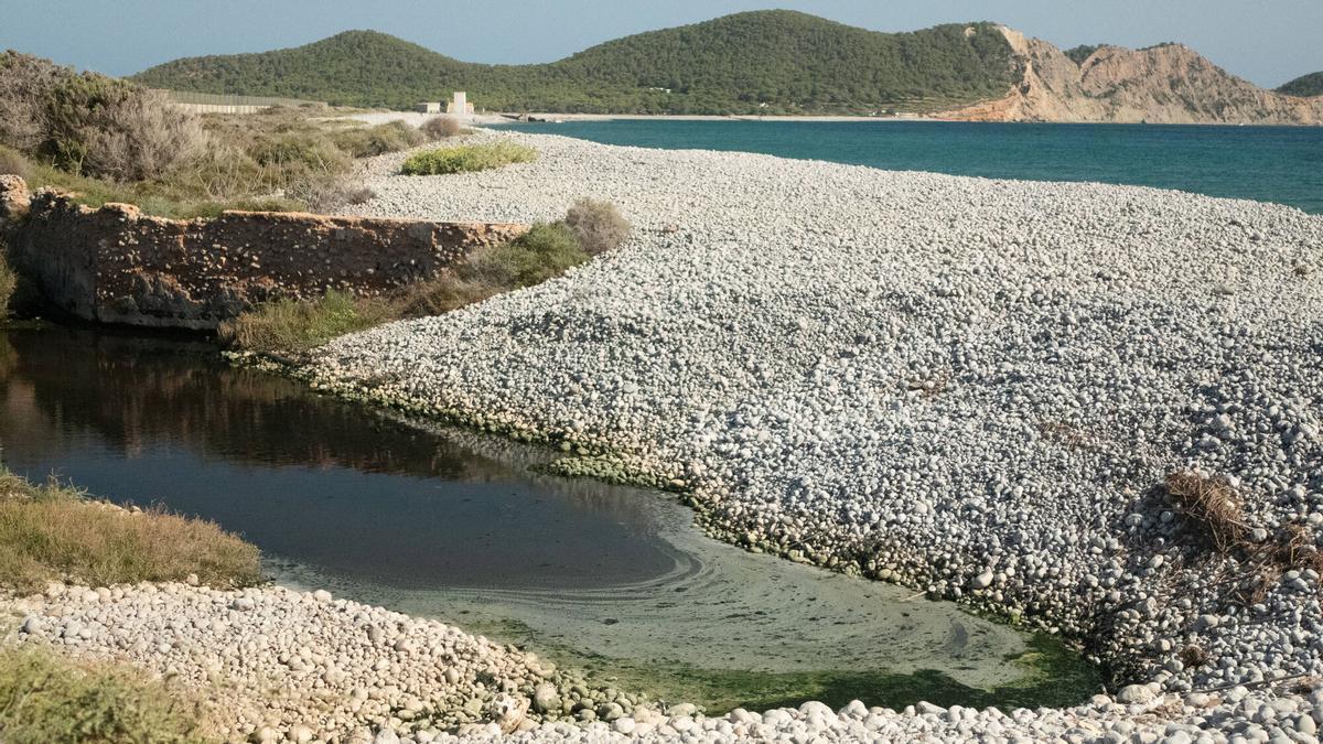 Sewage spill in Cala Codolar, in the Ses Salines Natural Park.