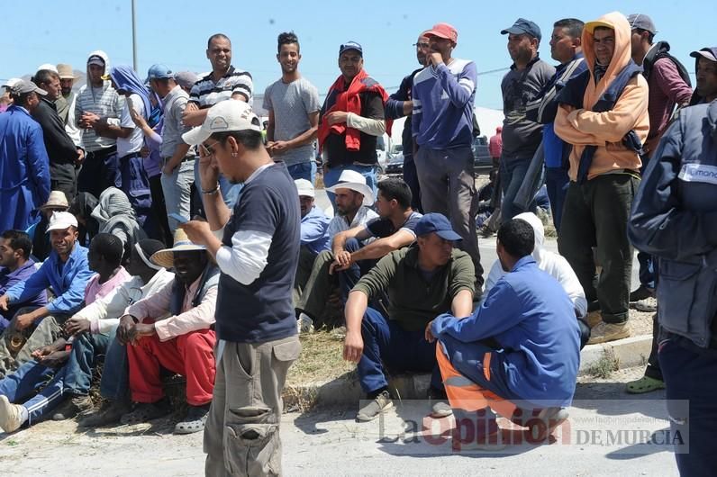 Protesta hortofrutícola en una empresa de El Raal