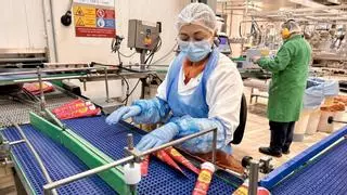 Proceso de producción de helados en la fábrica de La Menorquina, en Palau-Solità i Plegamans (Barcelona)