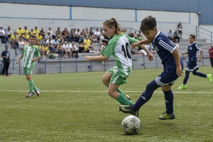 LAS PALMAS DE GRAN CANARIA A 03/06/2017. Copa campeones benjamines. Becerril -- Puerto. FOTO: J.PÉREZ CURBELO