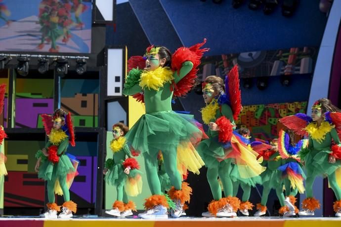 LAS PALMAS DE GRAN CANARIA  17-02-2019  LAS PALMAS DE GRAN CANARIA. CARNAVAL 2019 LAS PALMAS DE GRAN CANARIA. Concurso de disfraces infantiles.    FOTOS: JUAN CASTRO