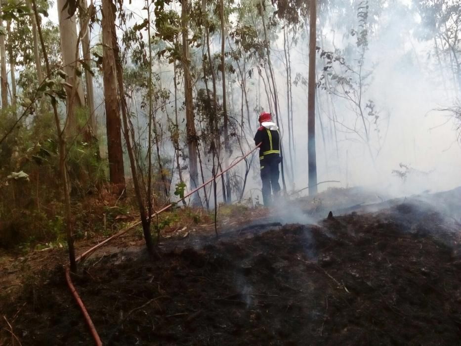 Sofocan dos incendios forestales en Sada