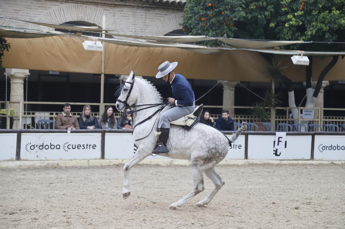 Participante en la 11ª Copa de Navidad en Caballerizas Reales de Córdoba.