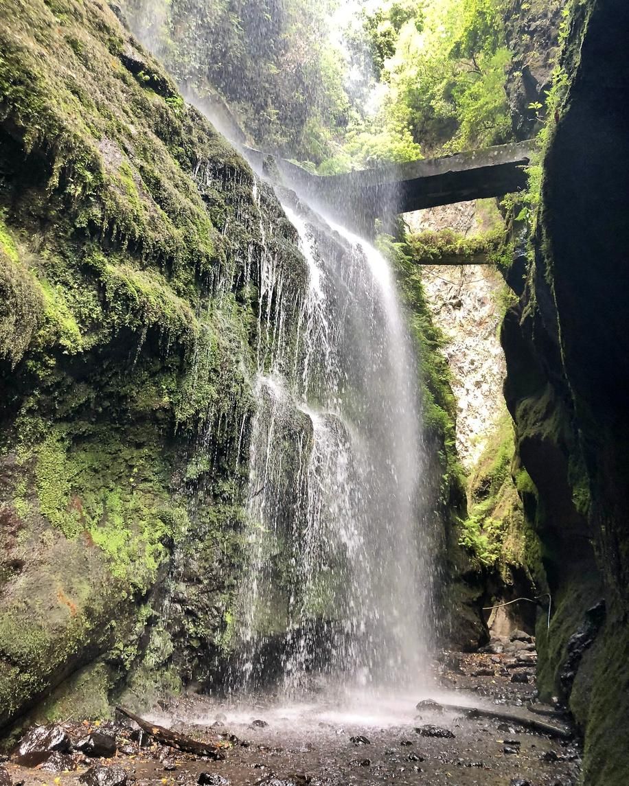 La Cascada de los Tilos en Gran Canaria