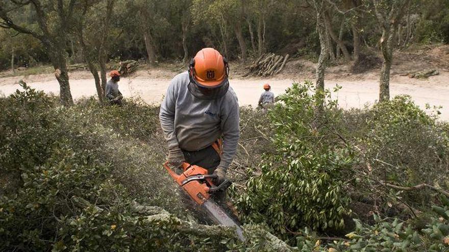 Más lluvias y el covid-19 disparan el riesgo de incendios forestales en Castellón