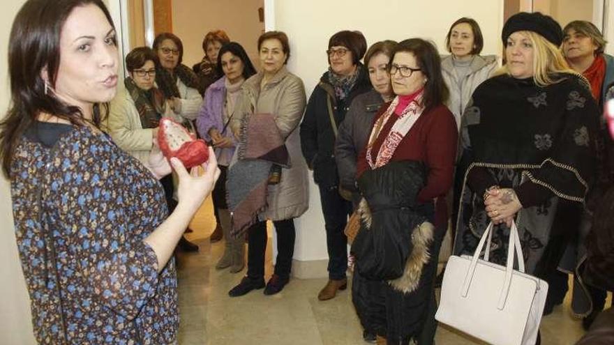 &quot;Intercambio do Saber&quot; visitó la muestra de Celeste Garrido. // S.A.