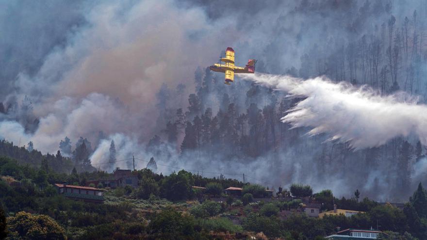 Estas son las graves consecuencias del incendio de Tenerife para la biodiversidad