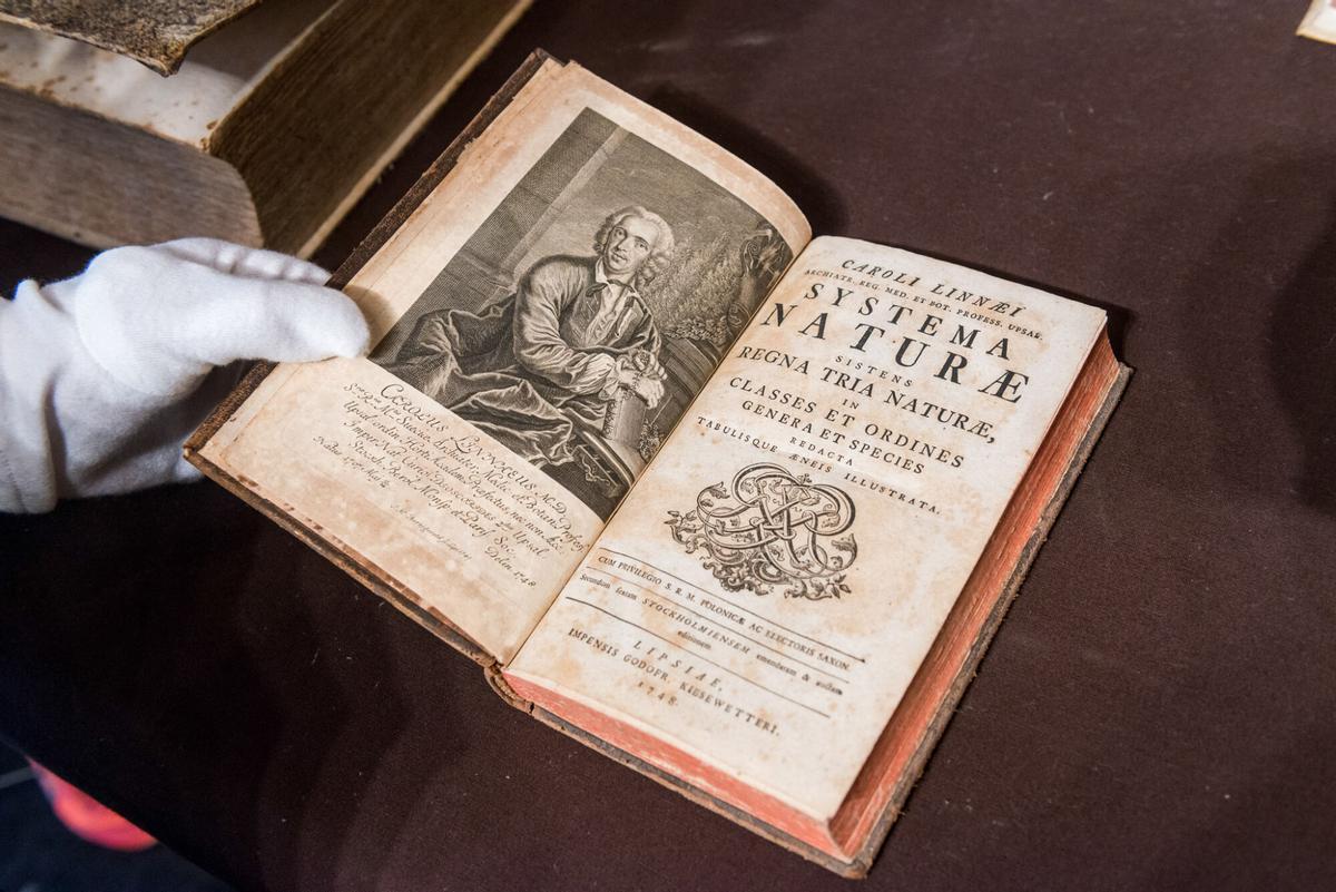'Systema Naturae' de Carl von Linné.