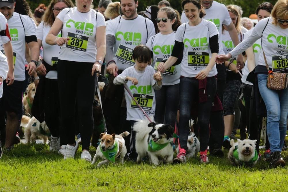 "Can We Run" reúne a más de 400 perros y corredores en el Parque Fluvial de Viesques, en Gijón.