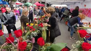 Sant Jordi 2024 a Manresa