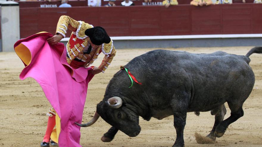 El diestro Paco Ureña durante el séptimo festejo de la Feria de Otoño, lidiando reses de la ganadería de Adolfo Martín. efe / VICTOR LERENA