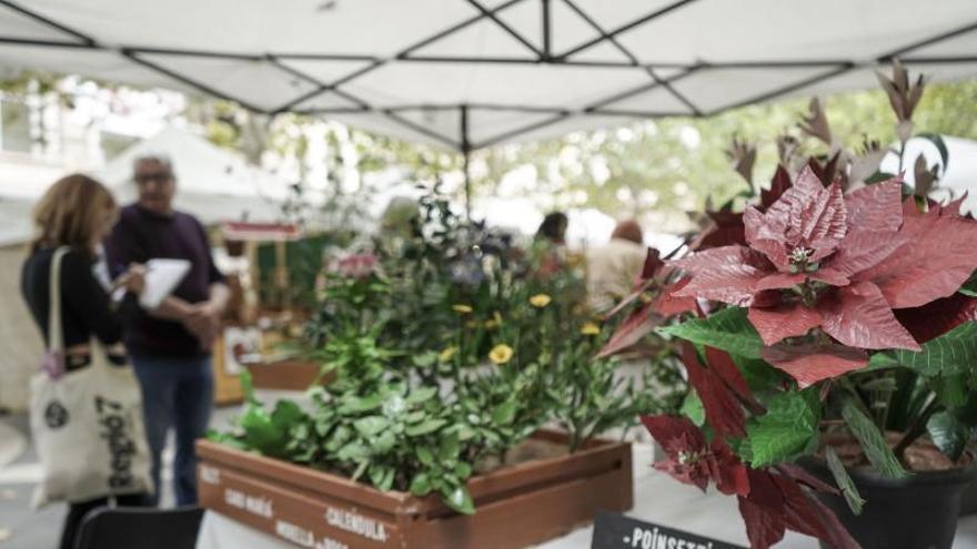 El Passeig de Manresa acull la 45a edició de la Fira d'Artistes i Artesans