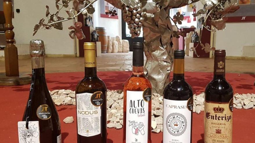 La DOP Utiel-Requena selecciona sus vinos para 2020