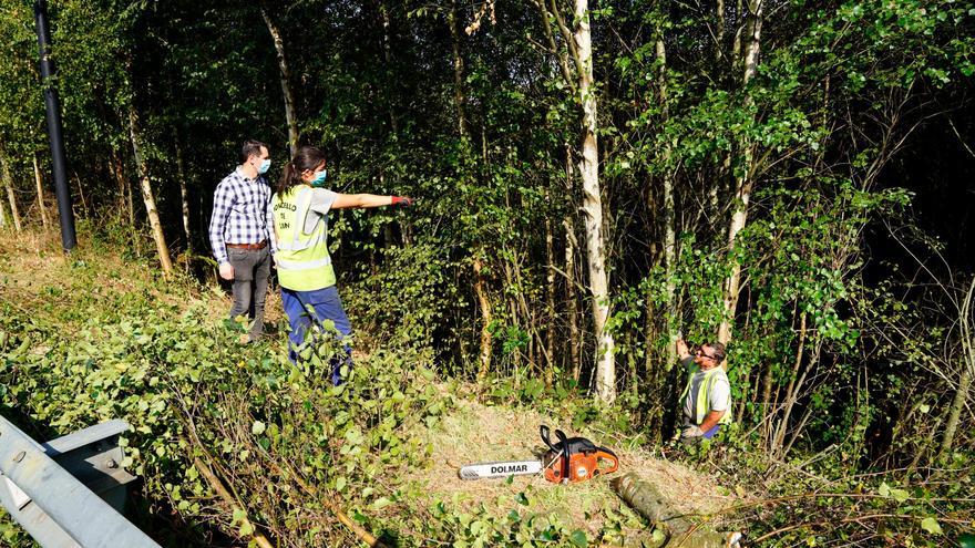 Una de cada tres fincas inspeccionadas por la Xunta el pasado año no estaba limpia de biomasa