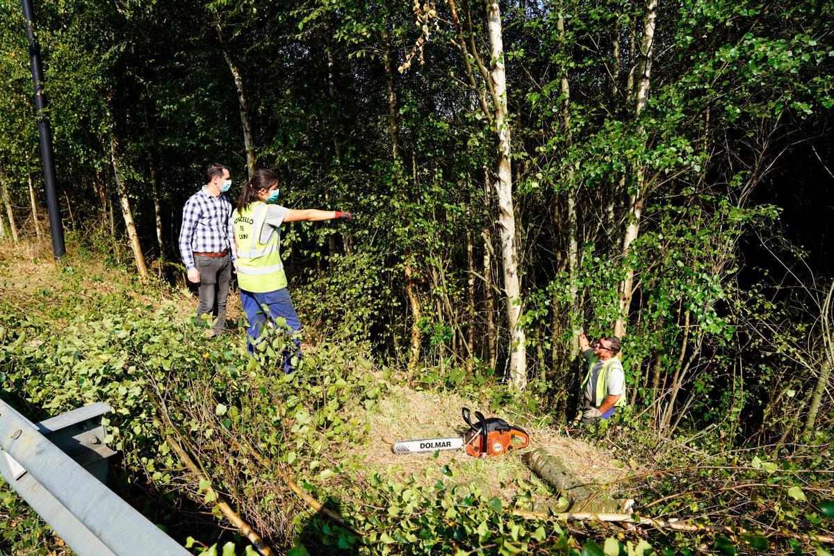 Dos operarios supervisan tareas de desbroce.